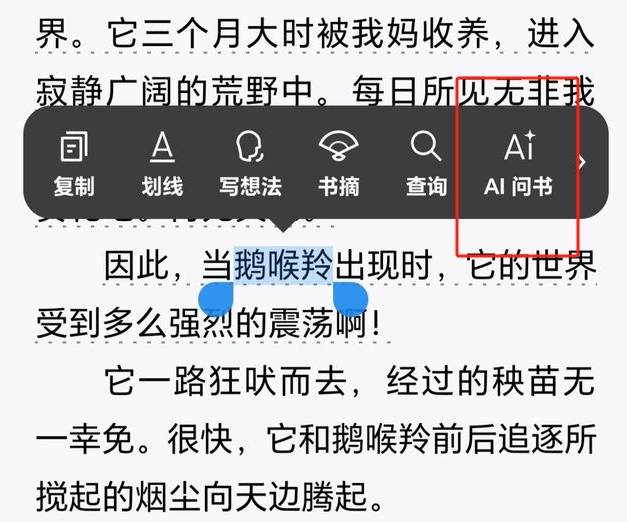 微信AI問書在哪里.jpg