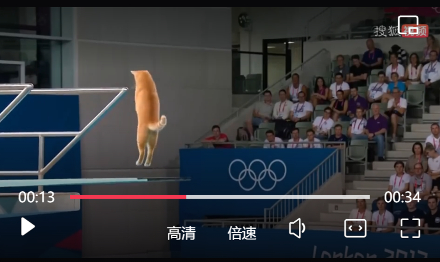 超萌“貓貓?zhí)币曨l效果.jpg